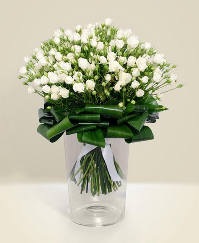 Purity
