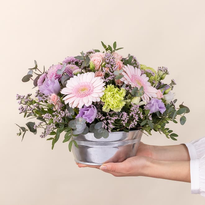 Pastel bloom