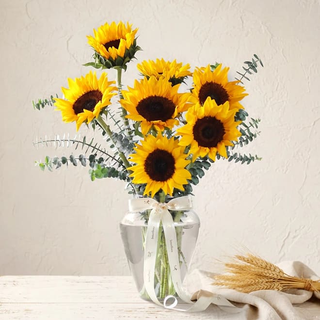 The Sunflower Edit