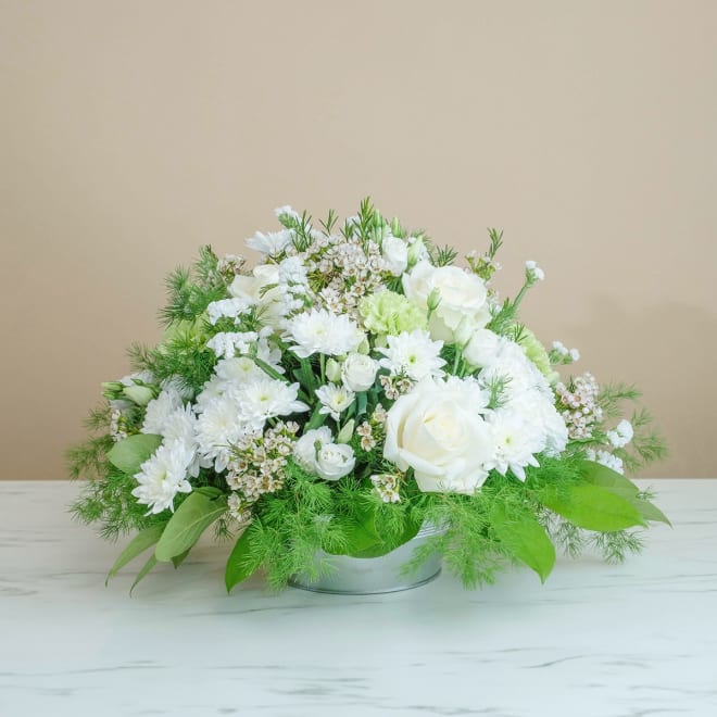 White Composition