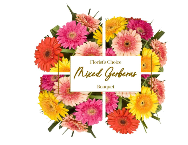 Gerberas Florist's Choice Bouquet