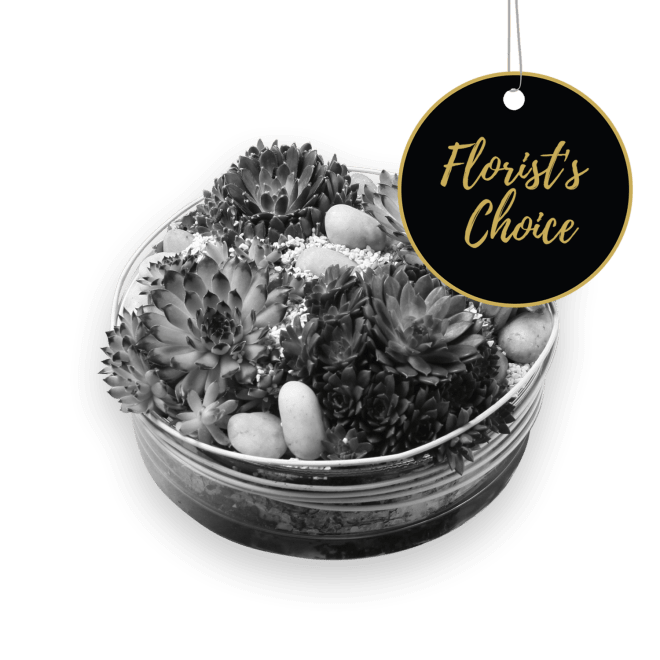 Arrangement of Plants - Florist’s Choice