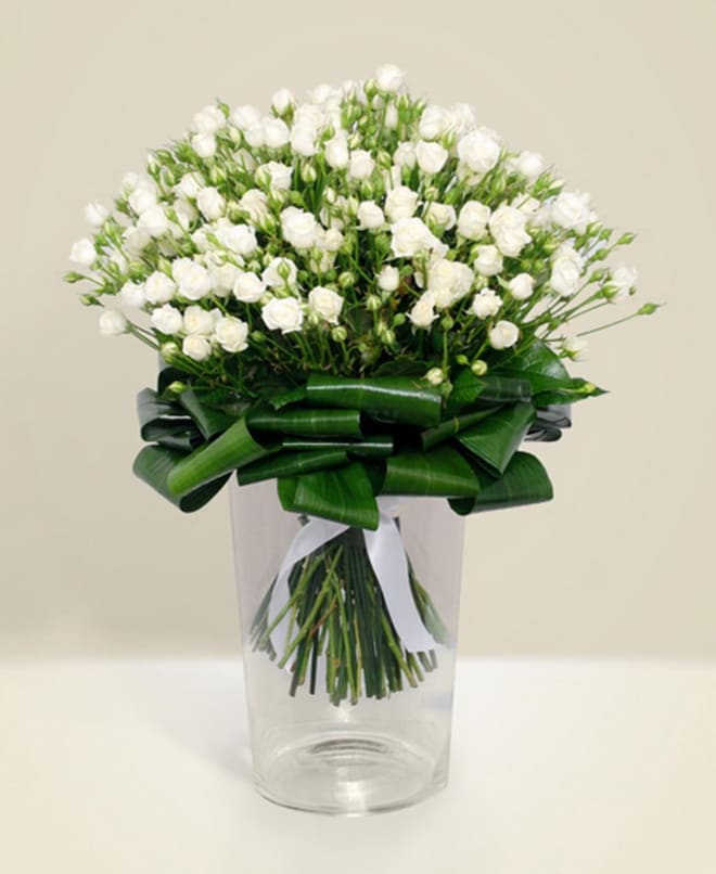 Purity