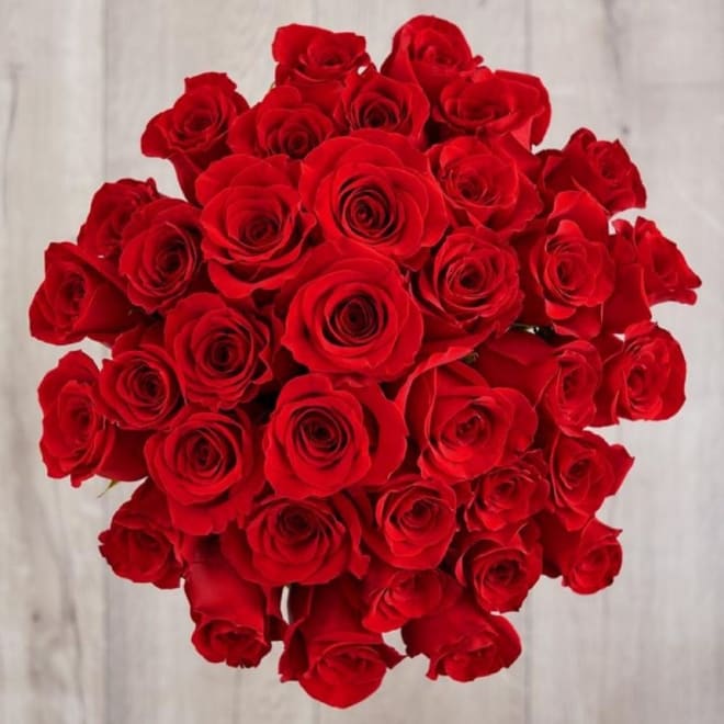 36 Red Roses Bunch