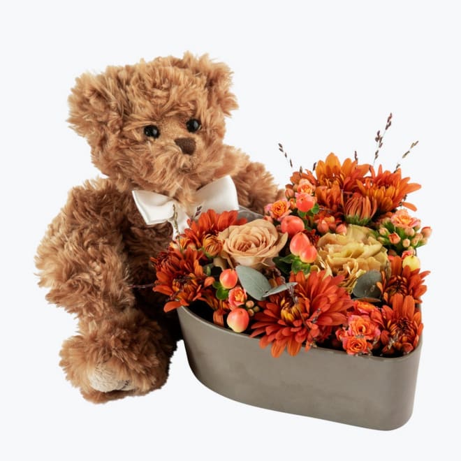 Heart of Gold and Teddy 240470
