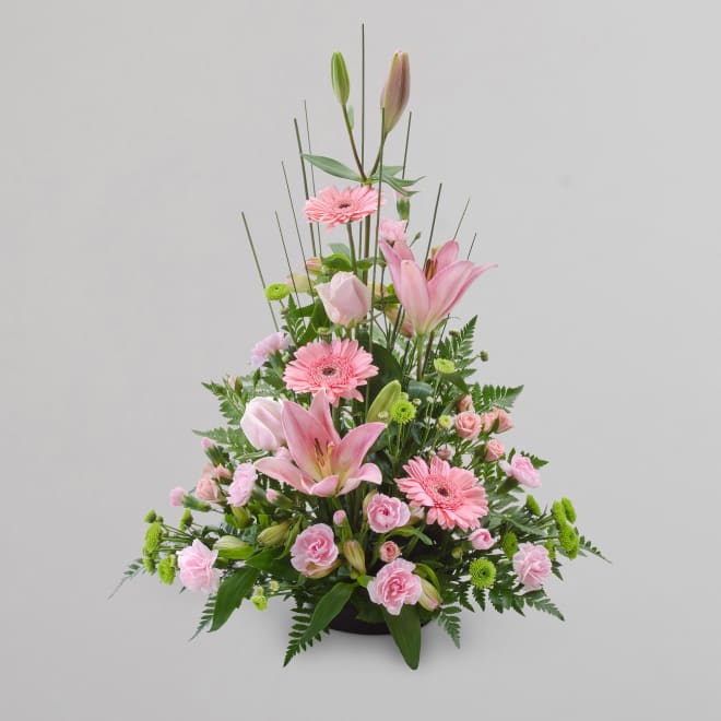 Pink Sympathy