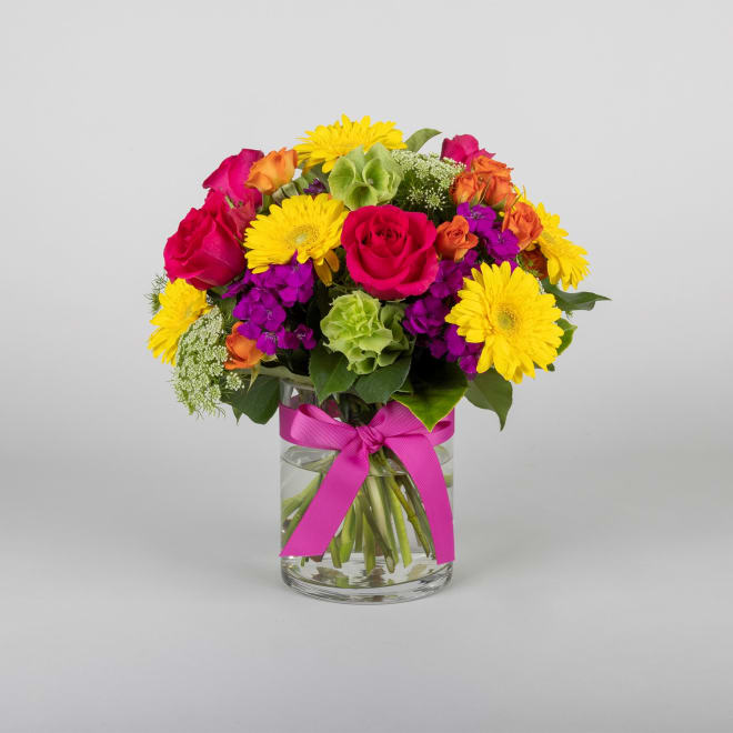 Colourful Blooms