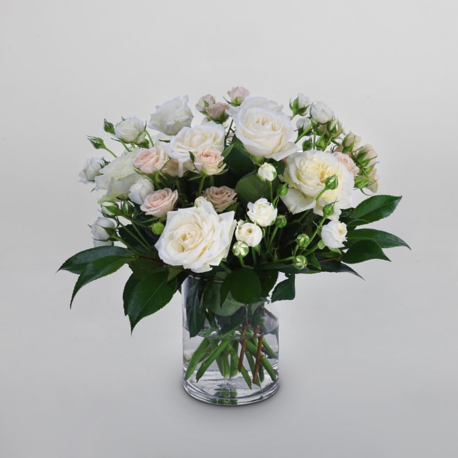 White and Pink Roses