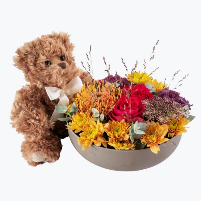 Autumn Bowl yellow and Teddy 240520