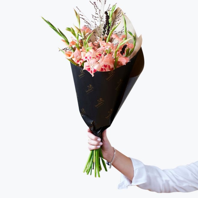 Gladioli 240411
