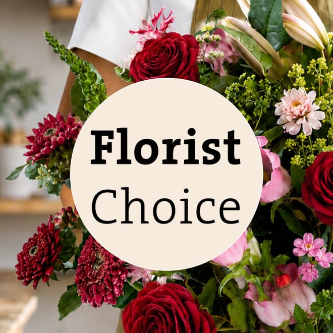 Arrangement of cut flowers