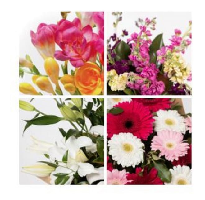 Arrangement of Cut Flowers