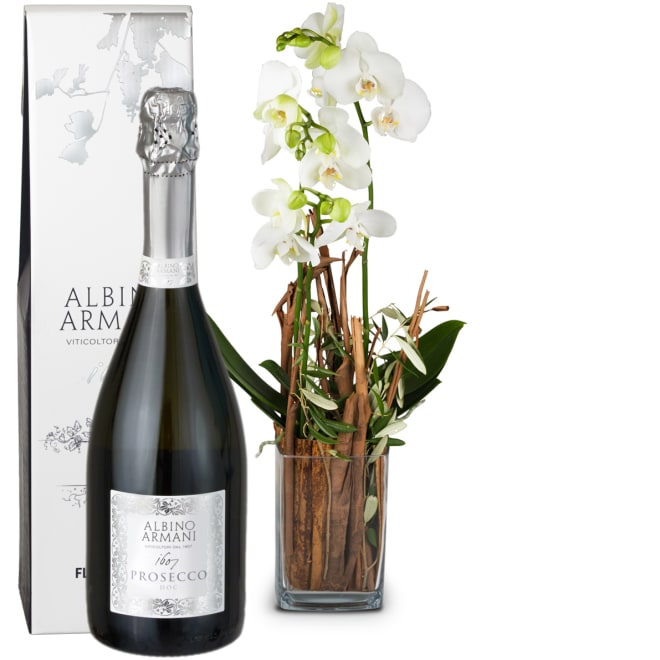 Zimmerpflanze «Zauberei» (Orchidee in Vase) mit Prosecco Albino Armani DOC (75 cl)