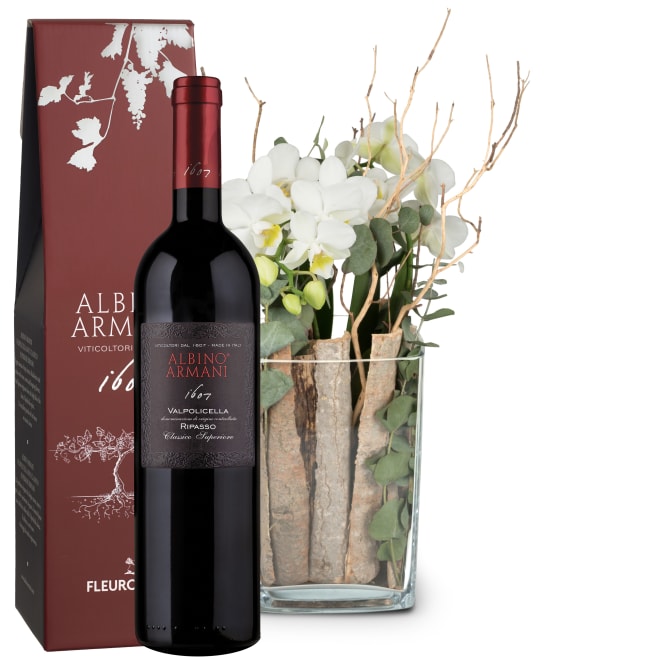 Zimmerpflanze «Lifestyle» (Orchidee in Vase) mit Ripasso Albino Armani DOC (75 cl)