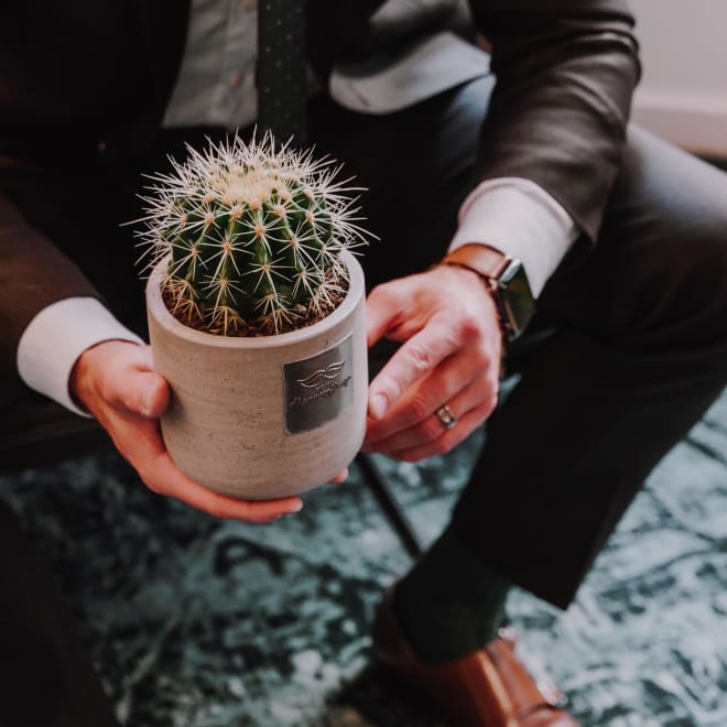 Männerpflanze  «Das ist Jack» (Echinocactus grusonii)