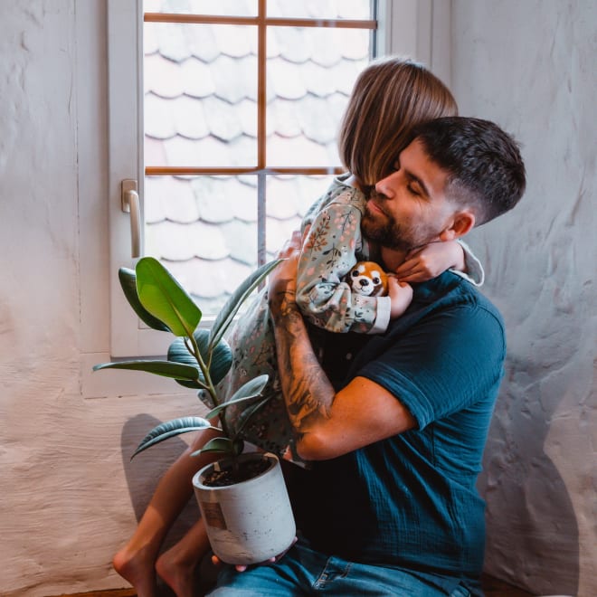 Männerpflanze «Das ist Alfred» (Ficus elastica 'Robusta')