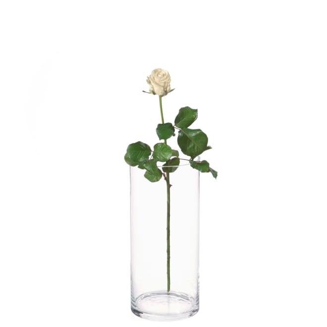 MyBouquet «Weisse Rosen»