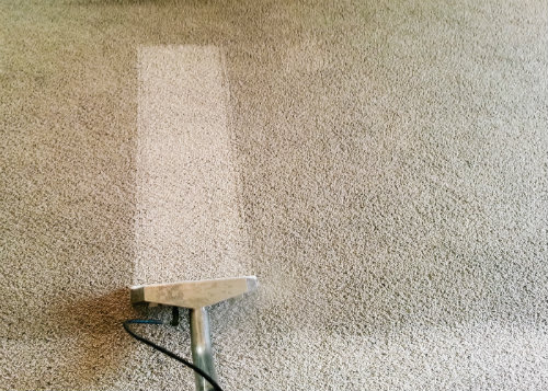 NY & NJ Carpet Steam Cleaning