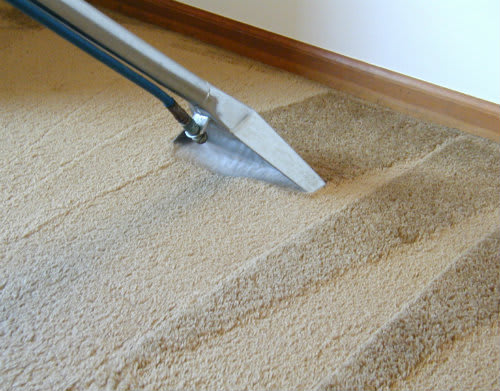 Carpet Cleaning Hot Water Extraction NY & NJ