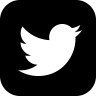 iconmonstr-twitter-3-96