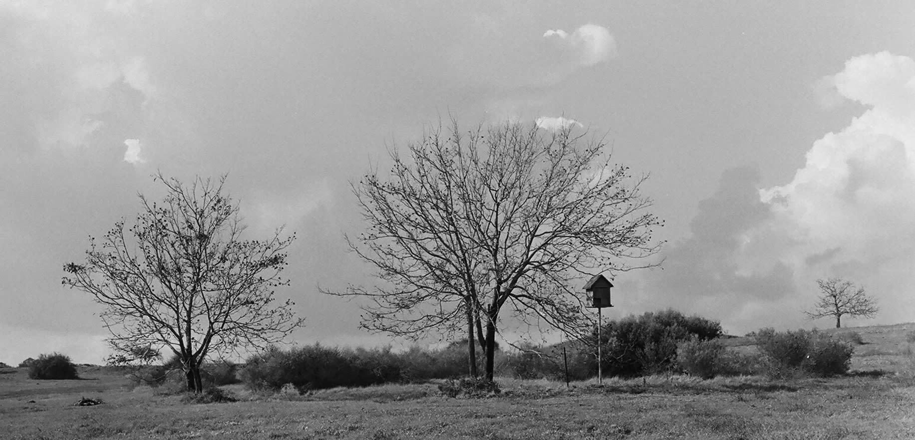 37f84f_efeefdbb2da14f9ca27a866d850f0d79%7Emv2