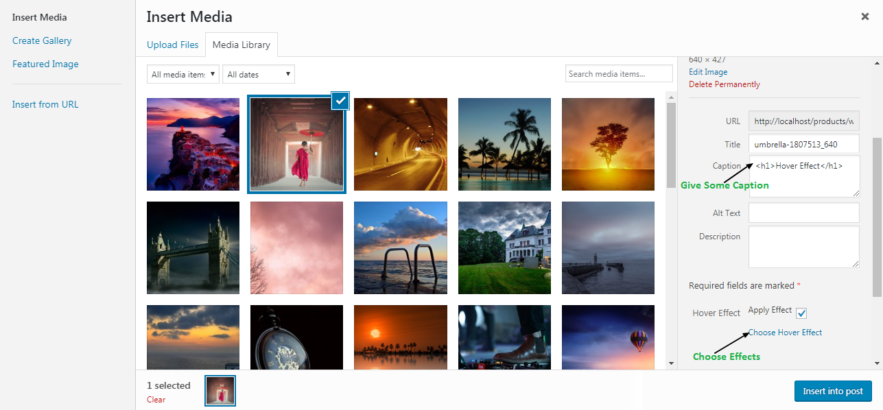 customizerwindow