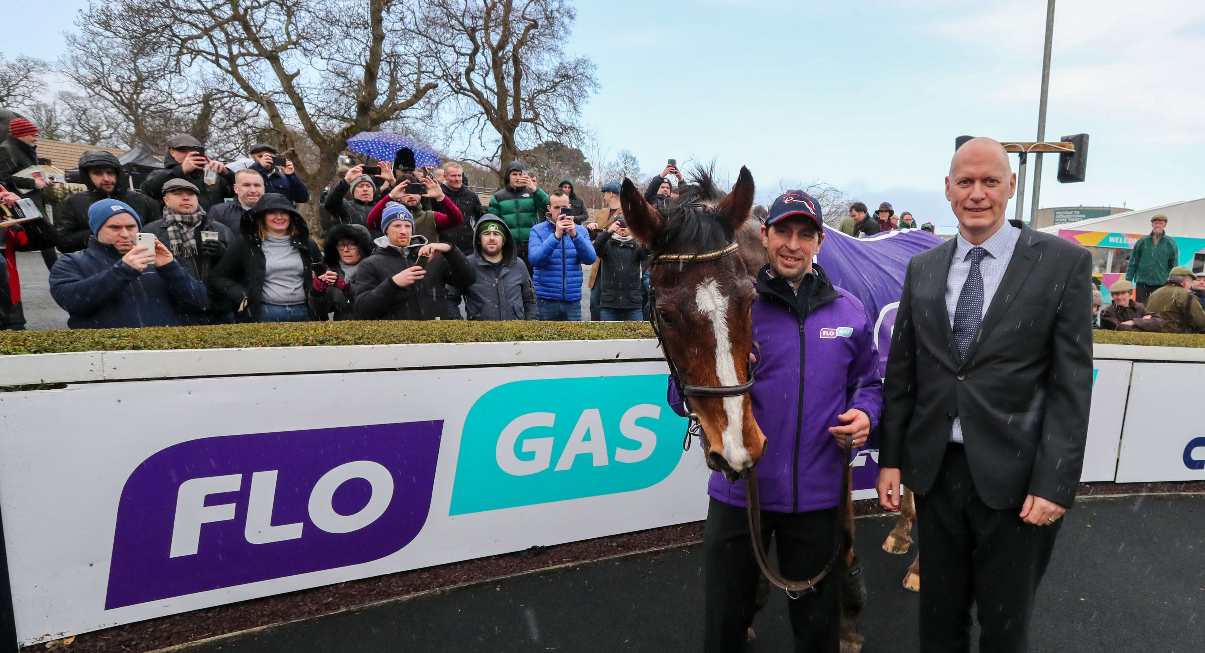Faugheen steals the show at 2020 Flogas Novice Chase