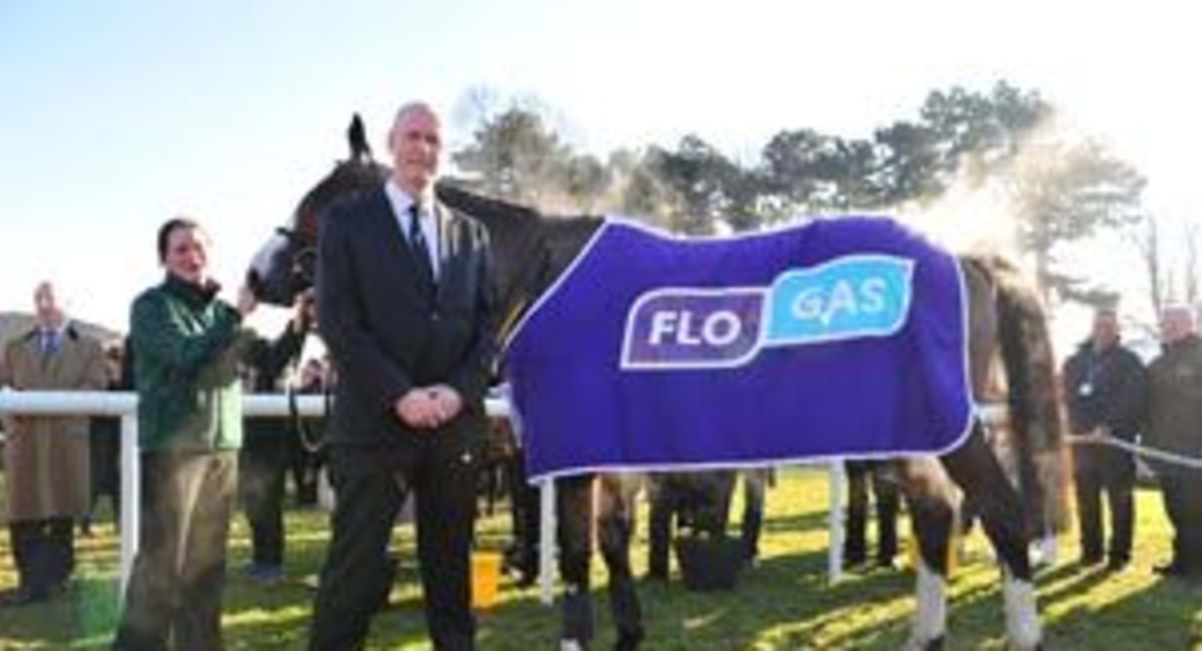 Flogas Novice Chase at Leopardstown