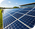 <h3>Net-zero support&nbsp;</h3><p>We can help you accelerate your business’s net-zero journey.</p>