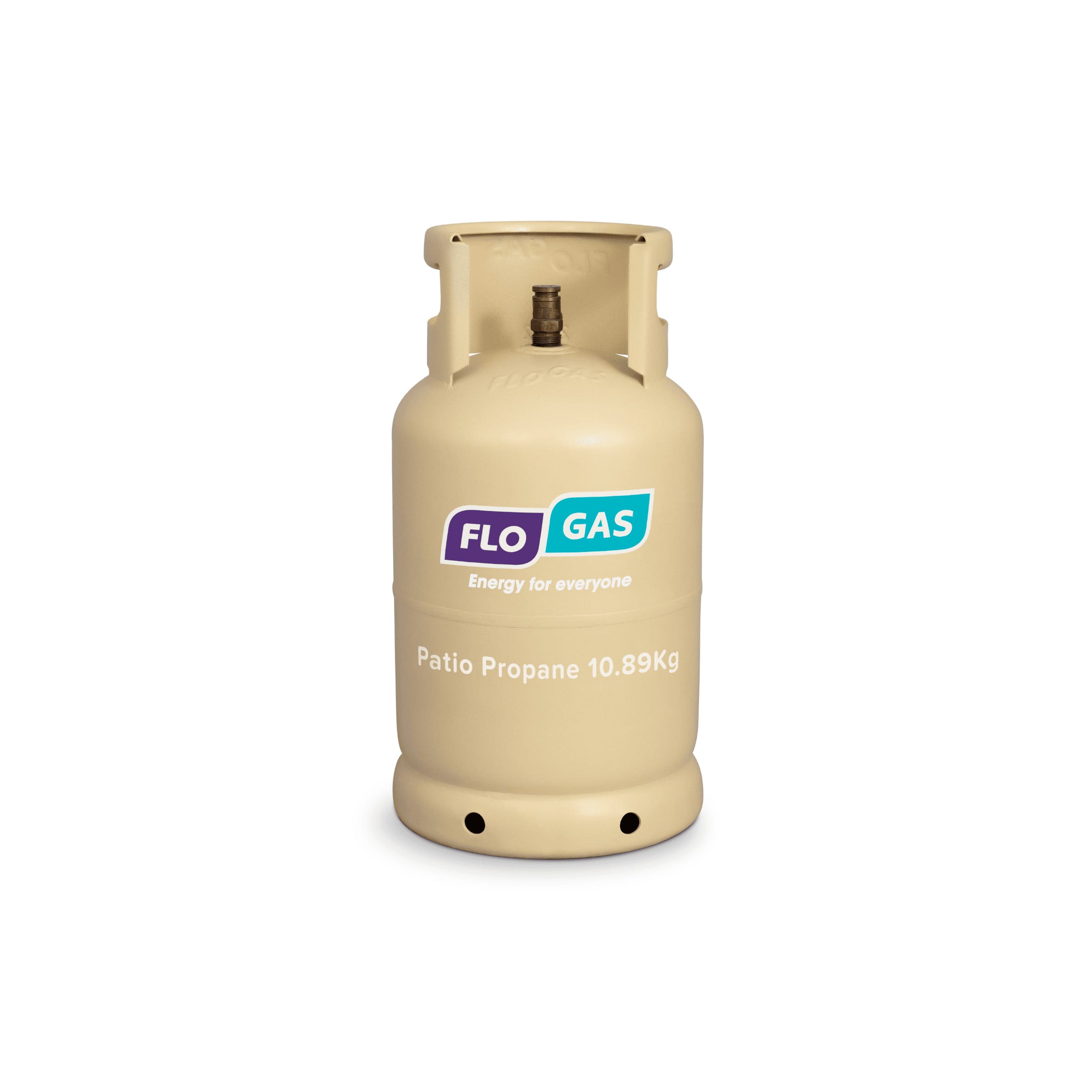 <h3><span style="color:#432078;">Patio Gas Cylinders</span></h3>