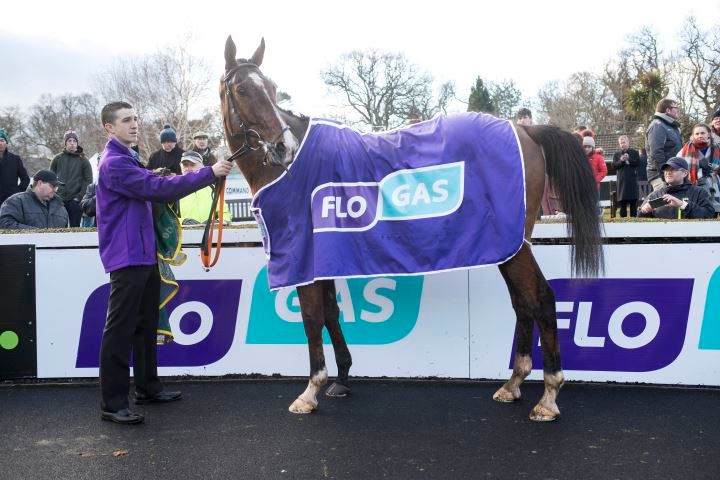 Flogas Novice Chase 2018-50.jpg
