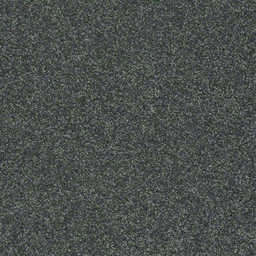 ProductVariant swatch large for Emerald Coast flooring product