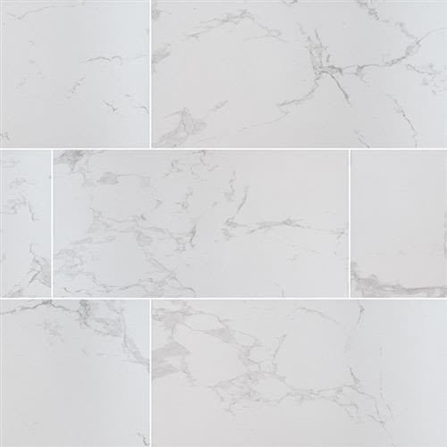 ProductVariant swatch large for Carrara 24x48 Polished flooring product