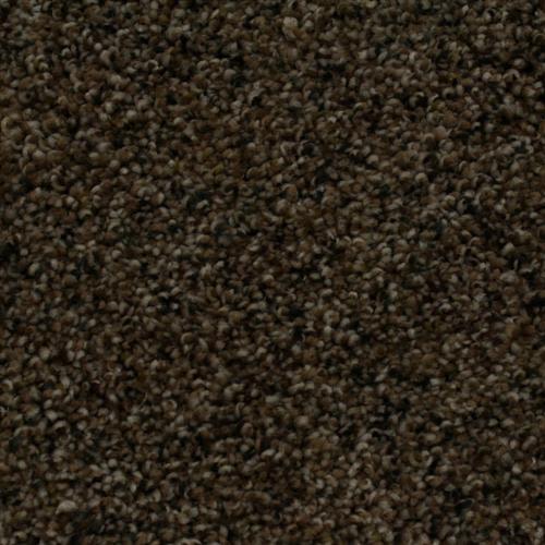 ProductVariant swatch large for Evening Walk flooring product