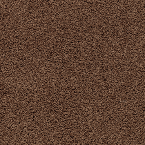 ProductVariant swatch large for Burnished Brown flooring product