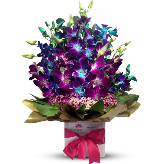 Corki Ultimate Purple Flowers Delivery Melbourne / Rosita Flowers