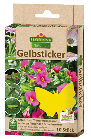 Gelbsticker 10 Stück