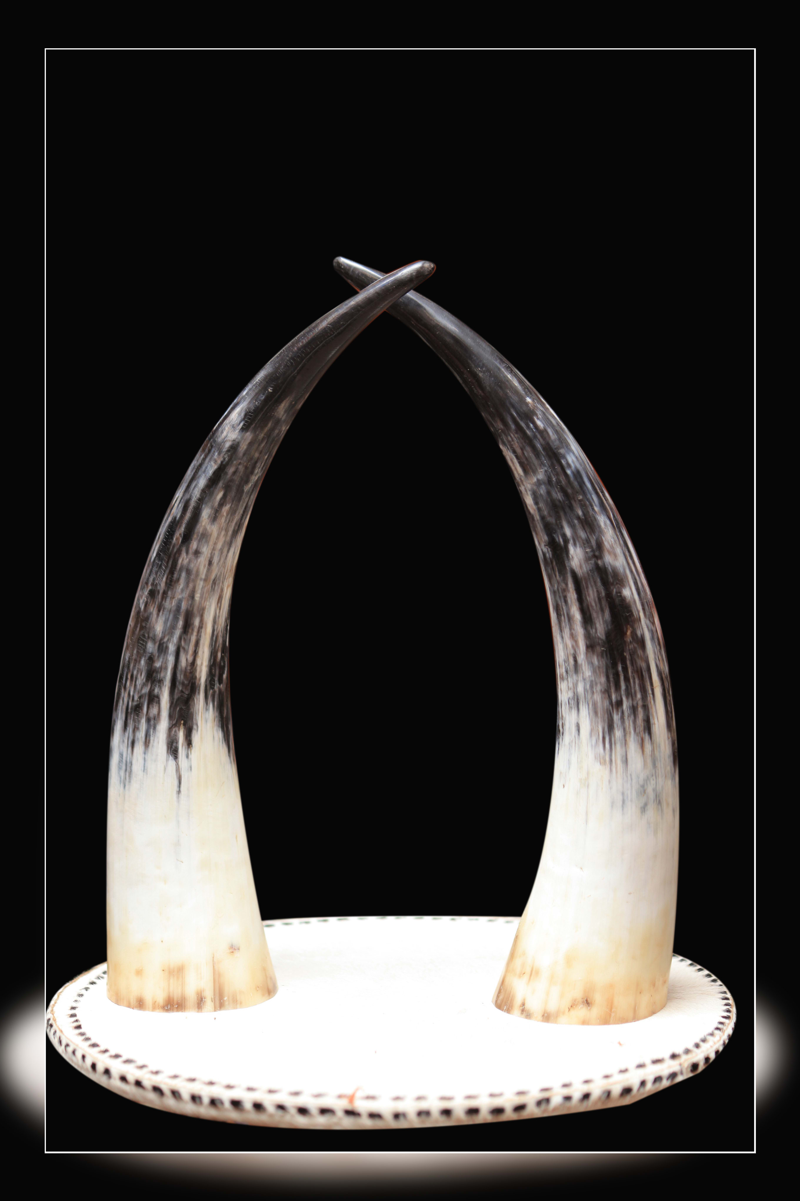 COW HORN