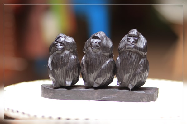 WISE MONKEY