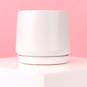 White Ceramic Loreto Pot  - Standard