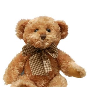 Theodore - Teddy & Friends  - Standard