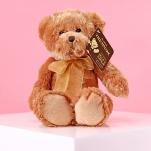 Theodore - Teddy & Friends  - Standard