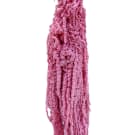 Preserved Dried Half Stem Amaranthus - Pink