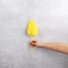 Preserved Dried Heart Palm - Yellow