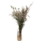 Thryptomene