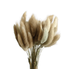 Preserved  Dried Bunny Tails - Natural