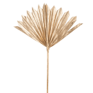 Preserved Dried Sun Cut Palm - Rose Gold