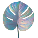 Monsteria Leaf - Holographic