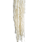 Preserved Dried Amaranthus - White