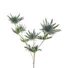Sea Holly - Blue